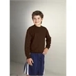 Youth Crewneck Sweatshirt Embroidered $22