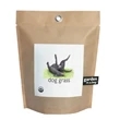 Garden-in-a-bag Dog Grass