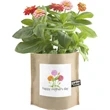 Garden-in-a-bag Happy Mother's Day