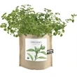 Garden-in-a-bag Oregano