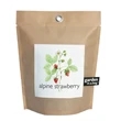 Garden-in-a-bag Strawberry