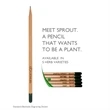 Pencil Eco Friendly