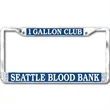 Standard Chrome 2-Hole Metal License Plate Frame