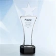 Iconic Star Award