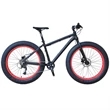 Fat Tire Mountain Bike
