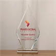 Diamond Vision Award