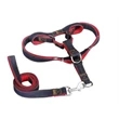 Dog Leash AND collar set
