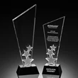 Star Crystal Trophy