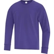 Everyday Cotton Long Sleeve Youth Tee