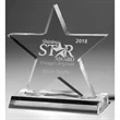 Large Star Achievement Award
