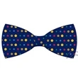 Silk Bow Tie