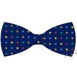 Silk Bow Tie