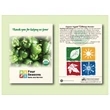 Organic Pepper California Wonder Seed Packet 3.25" x 4.5"