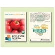Organic Tomato Beefsteak Seed Packet - Size 3.25" x 4.5"