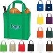 Non-woven Bag
