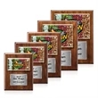 Gossamer VividPrint™ Plaque - Walnut/Silver