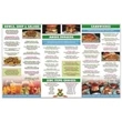 Menu, Tri-Fold Large (25" x 13")