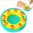 Brain Trainer Pet Toy Slow Feeder Bowl