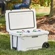 CaterGator 45 qt. Cooler