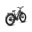 Ready to Ship Step-thru Fat Tire Electric Bike