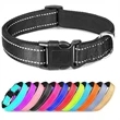 Neoprene Padded Buckle Collar