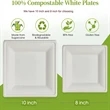 Biodegradable Disposable Square Plates