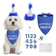 Dog Birthday Hat Bandana Set