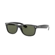 New Wayfarer Classic Sunglasses