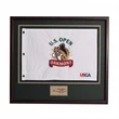 Custom Framed Pin Flag w/ Plate