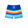 Unisex 180 GSM Spandex Milk Silk Performance Swim Shorts