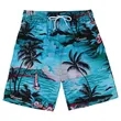 WPS Performance FULL COLOR DYE SUBLIMATION BOARD SHORTS