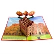 Customized 3D Pop Up Cards for Education, Colleges, Alumni