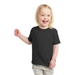Rabbit Skins Toddler Fine Jersey Tee.