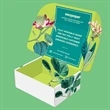 Display Mailer Printed Box ( Custom sizes and print )