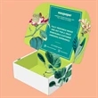 9"x 6"x 4" E-Flute Display Mailer Box Printed