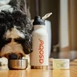 30 oz, Asobu Buddy, The only 3-1 Bottle for you & your dog!