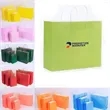 Premium Multi-Colored Kraft Paper Bag