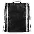 Blank, NW Reflective Drawstring Backpack