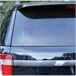 AGKP Car Window Vinyl