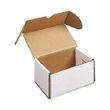 Model Boxes - Dental Mailing, Double, White