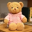 Breast Cancer Awareness Bear