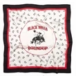 Mulberry silk Bandana