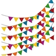 Colorful Birthday Party  Pennant With Rush Service