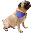 Sublimated Small Pet Bandanna & Scarf