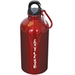 500 Ml (17 Fl. Oz.) Stainless Steel Bottle With Carabiner