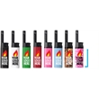 BIC EZ Reach Lighter