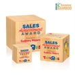 Kenilworth VividPrint™ Cube Award