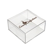 4" x 4" x 2" Clear Plastic Box