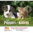 Puppies and Kittens Calendar