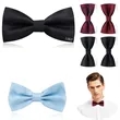 Bow Tie
